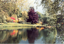 Stourhead Gardens
