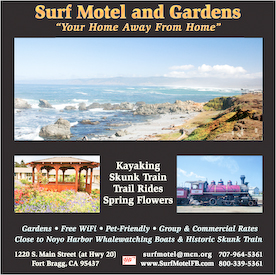 Magazine Ad for Surf Motel and Gardens
