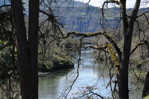 Down the Klickitat River to the Columbia
