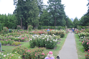 Grounds at Rose Test Garden