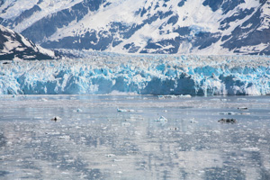 Hubbard Glacier, Alaska. You can see a calving event just left of the center.
